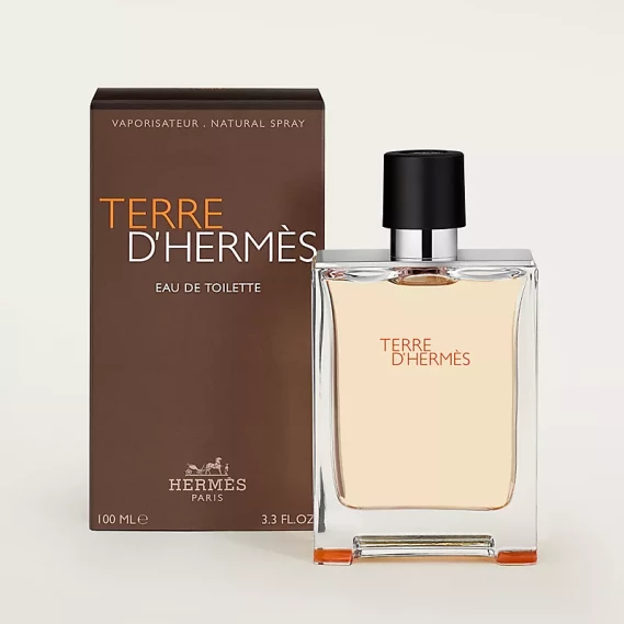 Terre d'Hermes Eau de Toilette 100ml